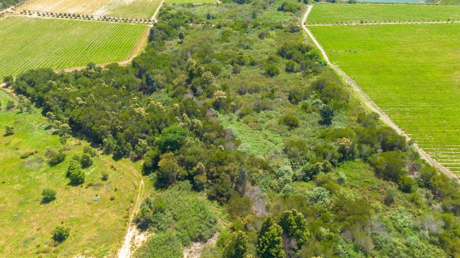 0 Bedroom Property for Sale in Franschhoek Rural Western Cape